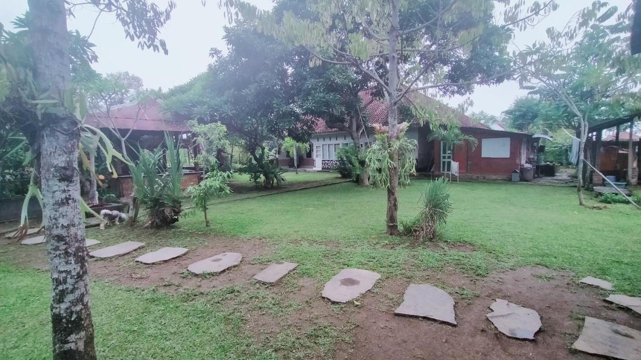 Esa Di Kubu Homestay Singaraja Extérieur photo